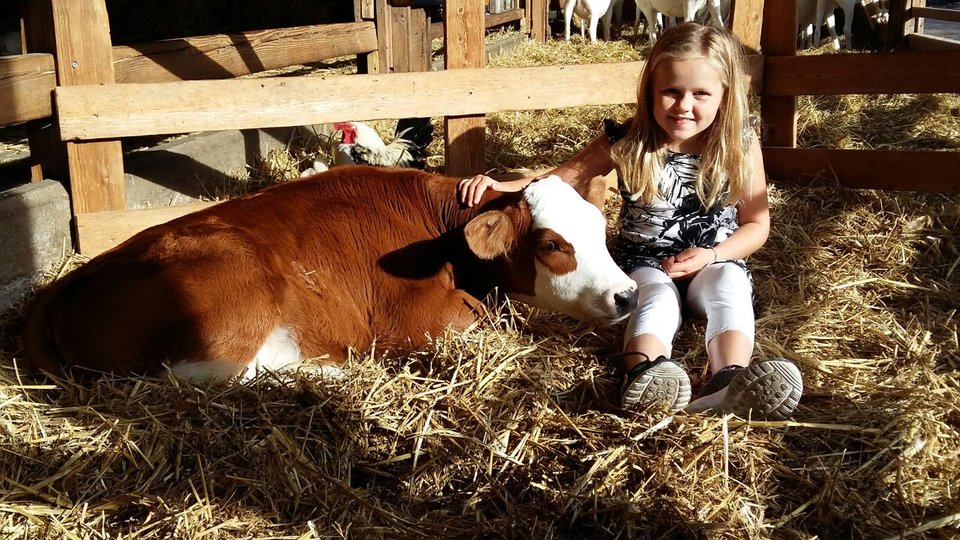 Overnachten bij boerderij ’t Geertje