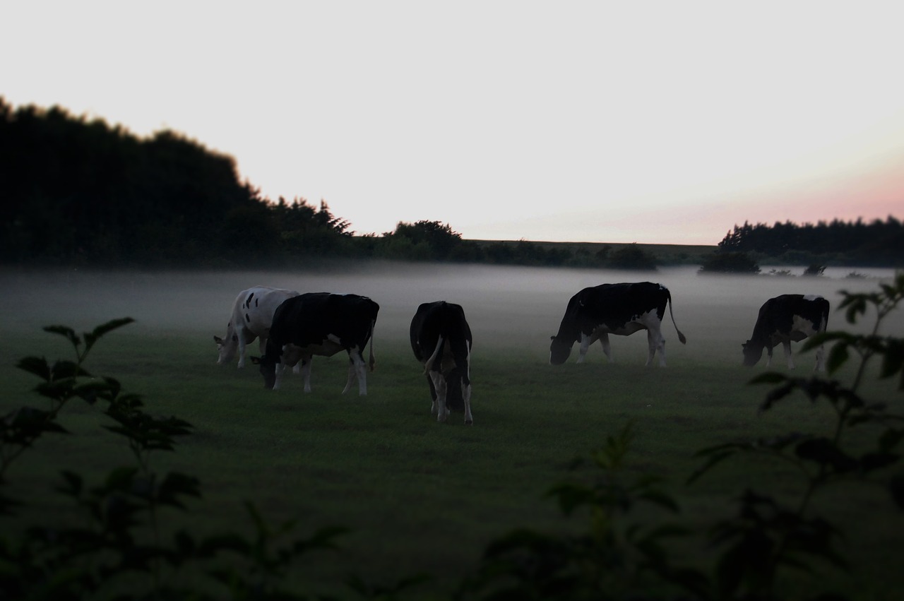 Boerenlandpad de Weipoortroute