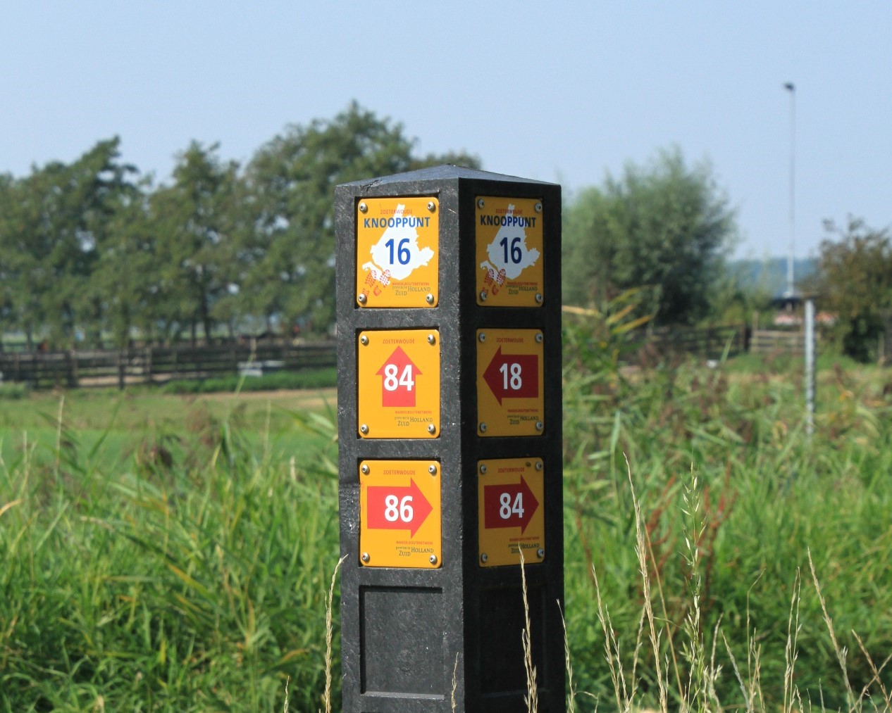 Polder Groenendijk – wandelroute