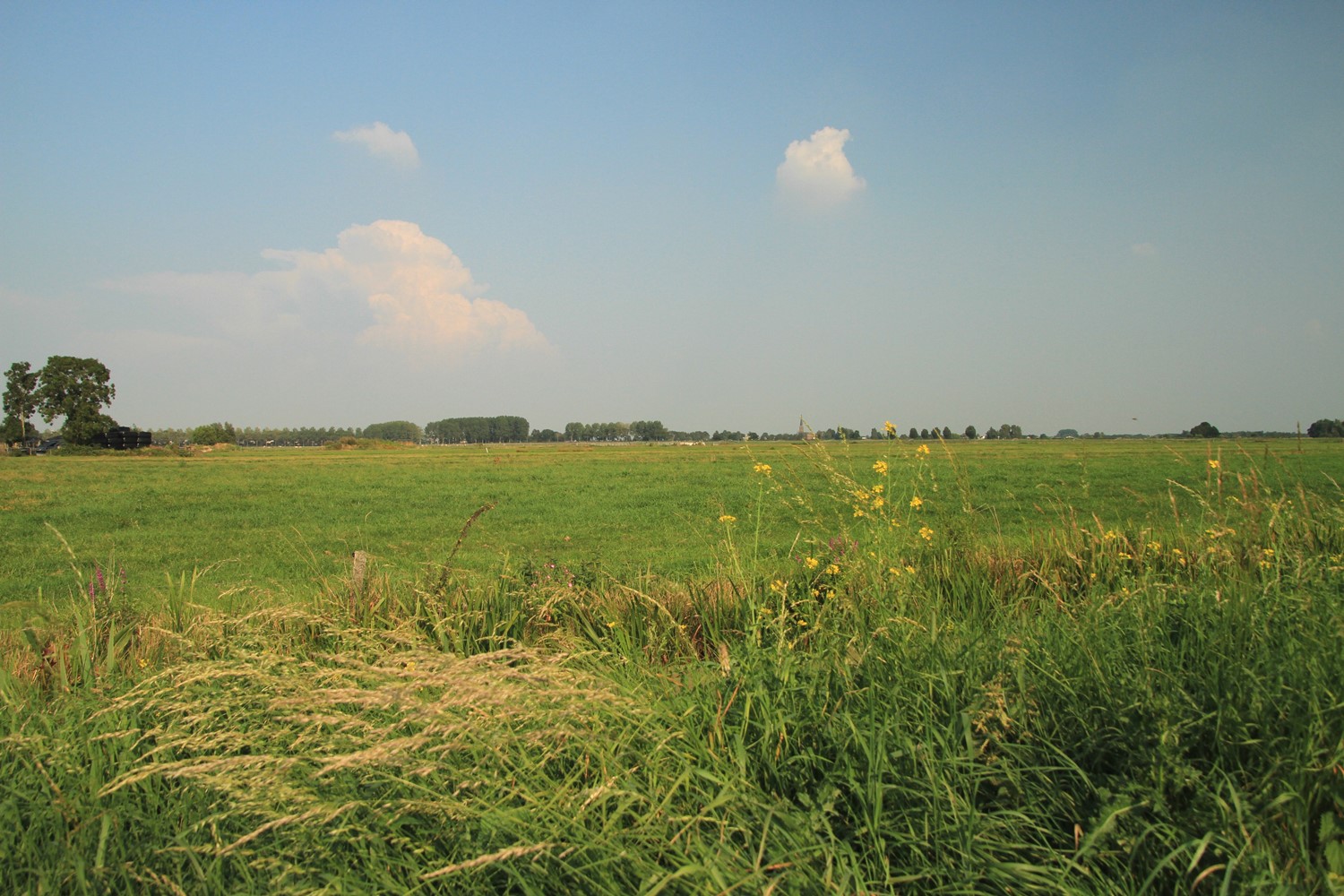 Polderhoppen – wandelroute