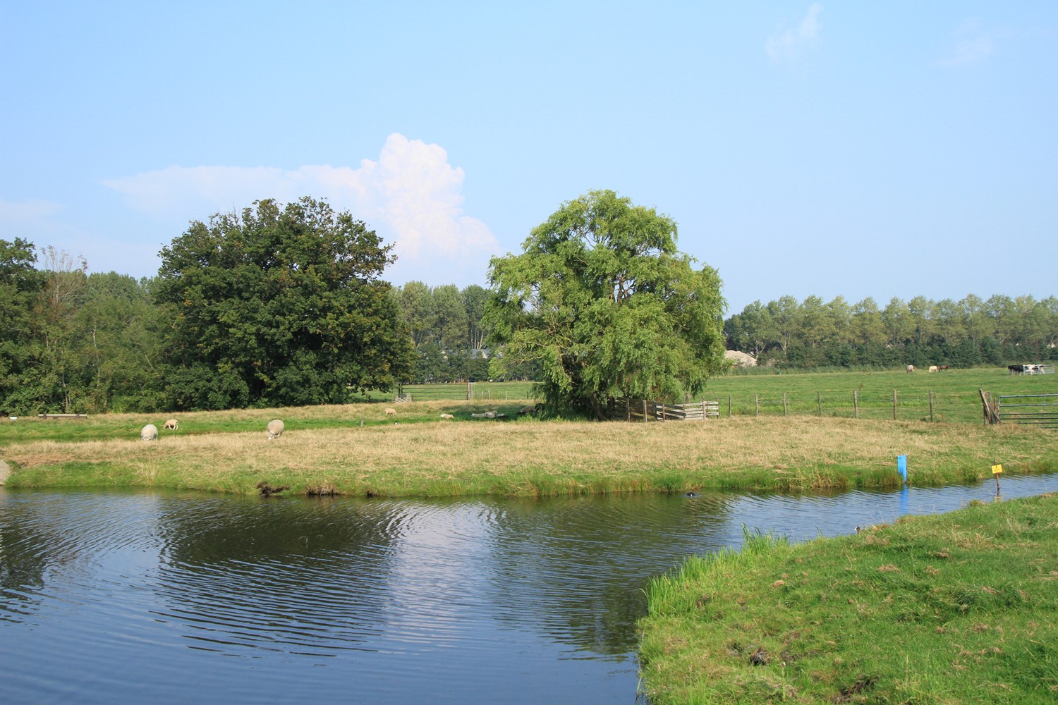 Boerenlandpad Steilrand (West)