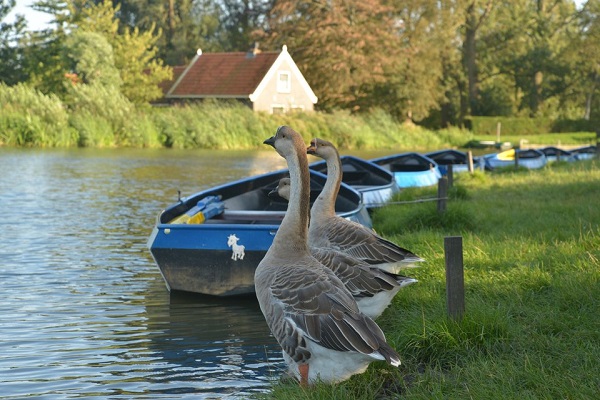 Varen door de polders