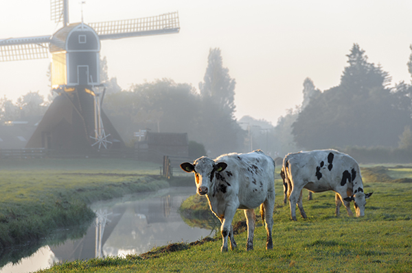 Romeinse Limespad door Zoeterwoude-Dorp