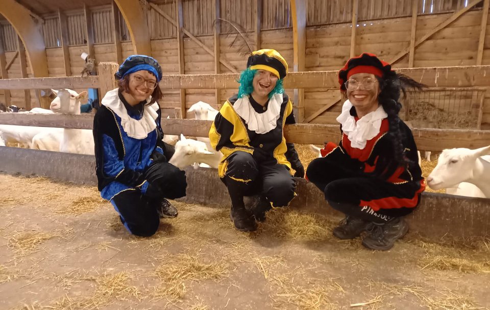 Pieten op de boerderij